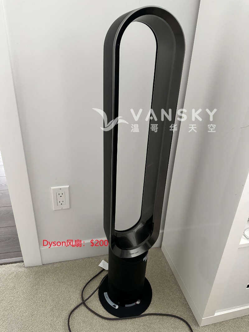 231126154728_Dyson Fan.jpg